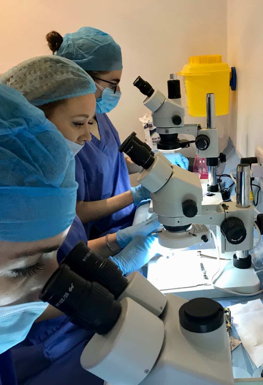 afro hair transplant techs at work